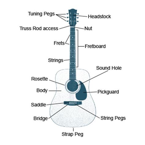 acoustic guitar anatomy