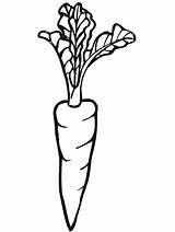Coloring Pages Primarygames Fruit Vegetable Science sketch template