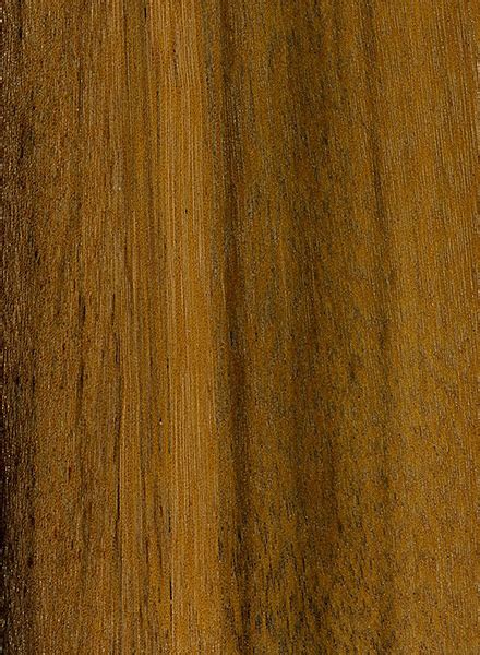greenheart  wood  lumber identification hardwood