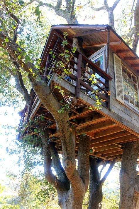 images  cottage tiny house tree houses hobbit homes  pinterest