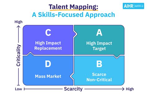 talent mapping  hr    skills focused approach