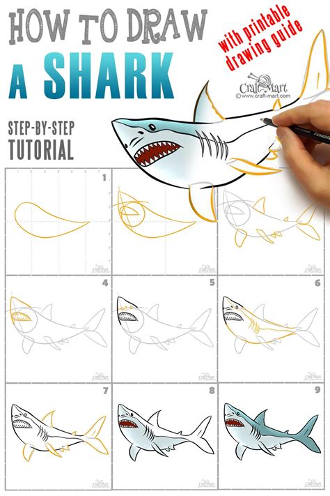 draw  shark   easy steps craft mart