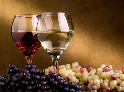 rode en witte wijn wijnen druiven  vino veritas wine wallpaper wine drinkers wine top