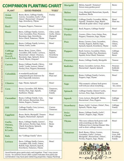 printable herb companion planting chart