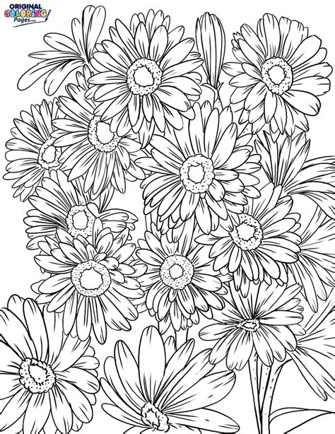 daisy flowers coloring page coloring pages original coloring pages