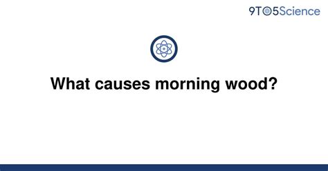 [solved] what causes morning wood 9to5science