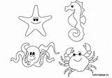 Sea Animals Coloring Reddit Email Twitter sketch template
