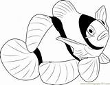 Fish Coloring Clown Pages Clownfish Water Printable Drawing Color Popular Getcolorings Getdrawings Coloringpages101 Coloringhome sketch template