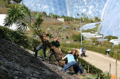Eden Project Starts Biggest Planting Project Since Opening