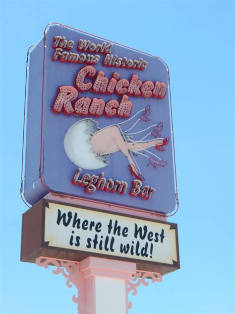 chicken ranch photo