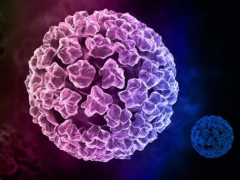 hpv guideline improves diagnosis