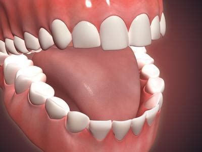 human mouth open showing teeth gums  tongue art allposterscom