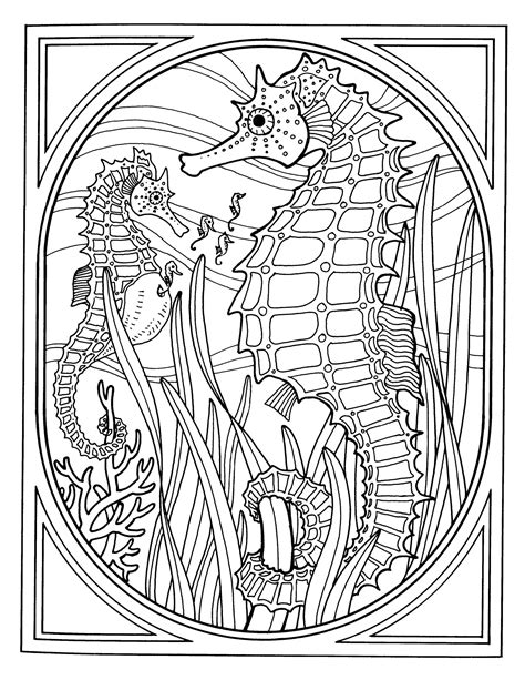 sea life adult coloring page clip art library