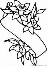 Coloring Lilies Banners Clipartbest Printablee sketch template