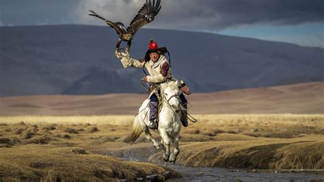 national geographic photo   year competition