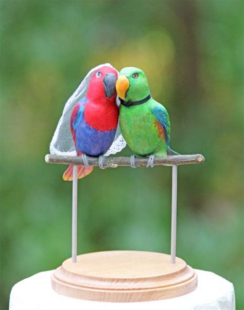 reserved  gordana custom eclectus parrot love birds etsy love birds wedding wedding cake