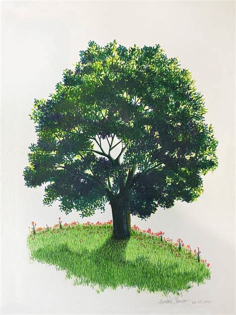 tree drawing images  amazing collection    full  images