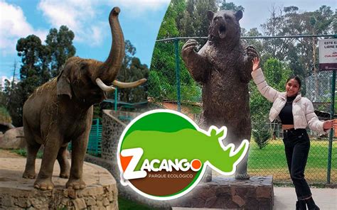 toda la informacion sobreprecios del zoologico de zacango