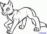 Coloring Warrior Pages Cat Print Popular sketch template