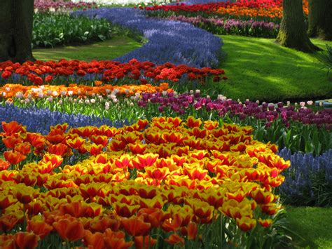amazing magazine  worlds largest flower garden keukenhof