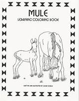 Mule Coloring sketch template