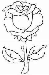 Rosen Colorier Tallo Grueso Coloriages Malvorlagen Beaux Animados Flower Colorluna sketch template
