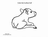 Calf Caribou Sponsors Wonderful Support Please Index Colorin Coloringnature sketch template