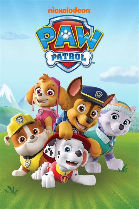 nickelodeon paw patrol discounted price warranty   shipping