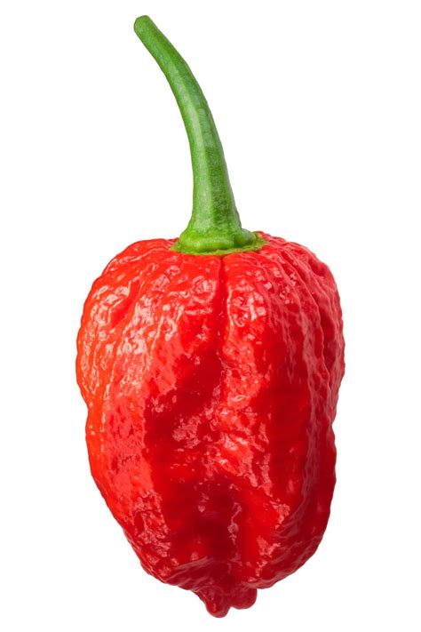 chili pepper types a list of chili peppers and their