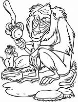 Rafiki Timon Coloring Pages Lion King Printable Coloringonly Scar sketch template