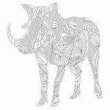 Savannah Coloring Millie Marotta Wild Warthog Colouring Book Pages Books Adventure Designlooter Amazon Color 2560 2560px 1066 21kb Printable Getcolorings sketch template