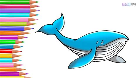 draw  whale easy tutorial toons mag