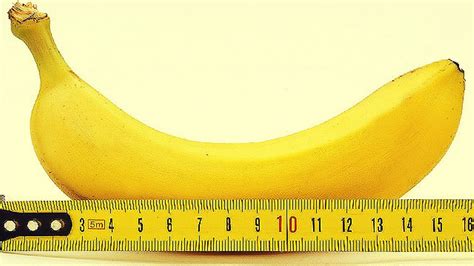 8 truths and myths about the size of your manhood