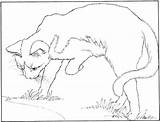Coloring Cat Pages Real Printable Getcolorings sketch template