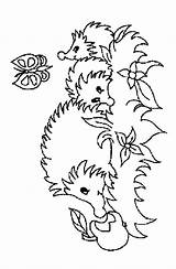 Hedgehogs Coloring Kids Pages Fun Egel Egels sketch template