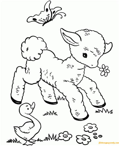 baby animals  spring coloring pages spring coloring pages