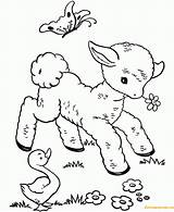 Animals Baby Spring Pages Coloring Color Printable Print sketch template