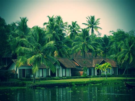 kerala god s own country waggingtale