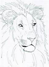 Lion Drawing Head Face Simple Line Draw Drawings Deviantart Getdrawings Ref Paintingvalley sketch template