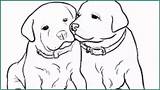 Cani Colorare Disegnare Cuccioli Cucciolo Punchbuggylife sketch template