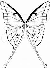 Moth Coloring Lunar Designlooter Halo Synchro Tattoostime sketch template