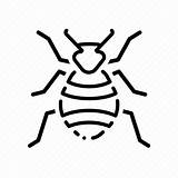 Bed Icon Bug Pest Bedbug Bedding Bedroom Editor Open sketch template