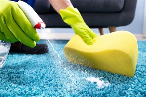 clean  vomit  carpet renew carpet cleaning