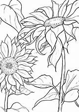 Girassol Colorir Desenhos Sunflower Girasol Buying Realista Animal Mandalas Infantis Essentialembroidery Acuarela sketch template