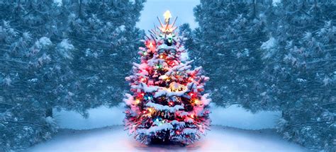 top  imagen christmas tree  lights background thpthoangvanthu