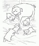 Coloring Family Animal Pages Pig Kids Library Popular Comments sketch template