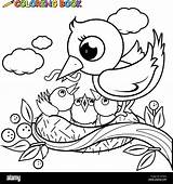 Nido Uccelli Nest Colorare Vogel Carino Malvorlage Niedlichen Malvorlagen Buch sketch template