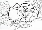 Mewarnai Sketsa Binatang Latihan Mewarna Hewan Kumpulan Paud Diwarnai Pemandangan Menggambar Lucu Kelinci Siswa Marimewarnai Seru Namira Gresik Trate Jawara sketch template