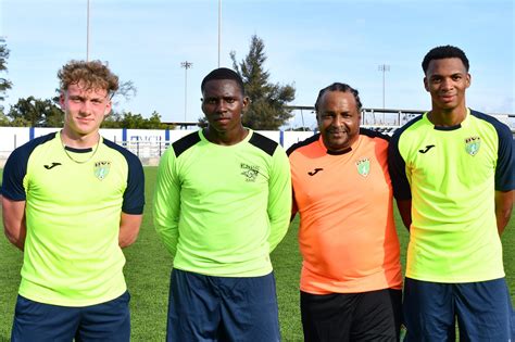 day    world cup squads camp  curacao     tactical  technical aspects
