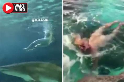 Naked Man Swims In Shark Tank In Bizarre Video Inside Toronto Aquarium